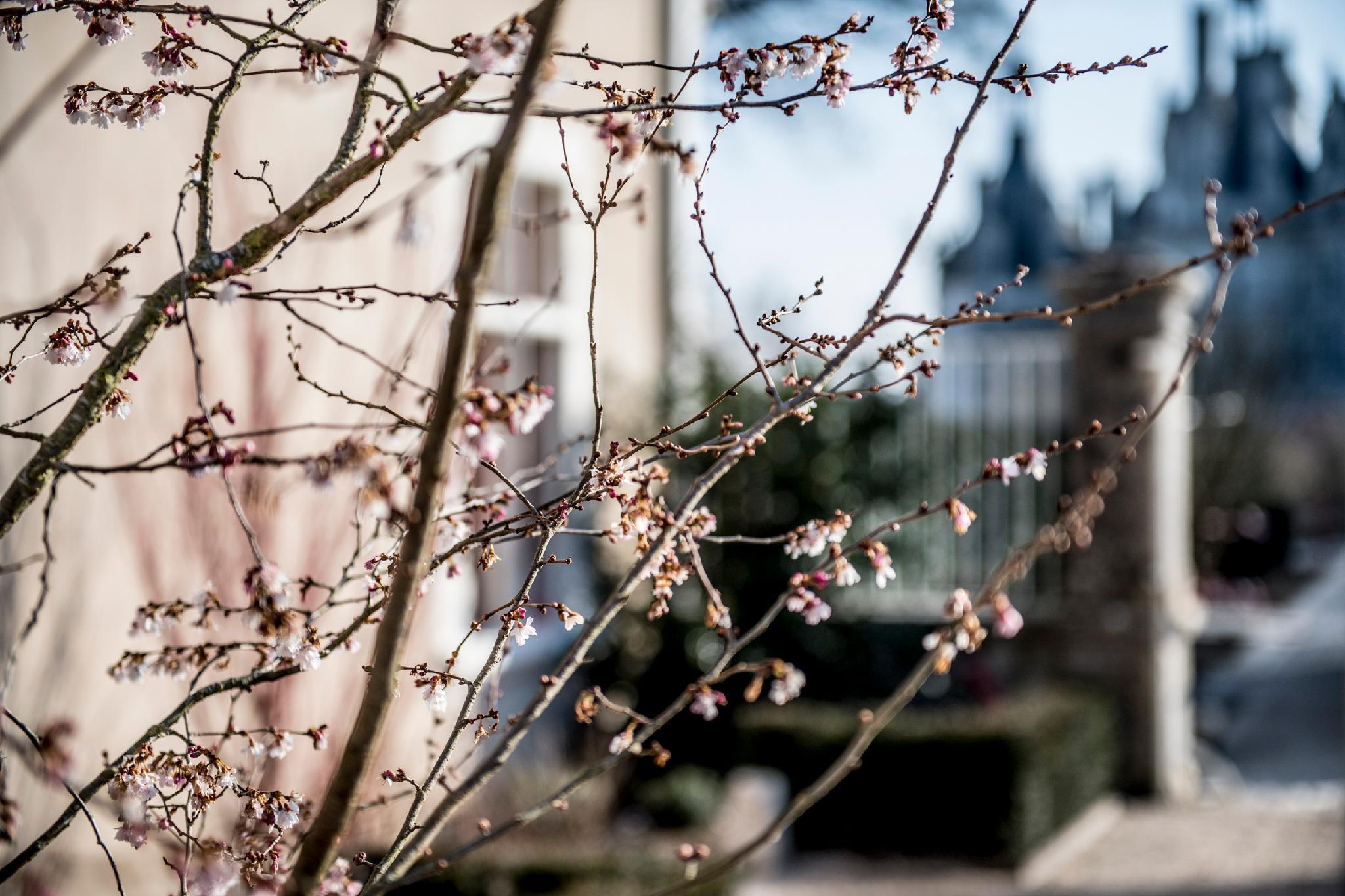 Relais De Chambord - Small Luxury Hotels Of The World Eksteriør bilde